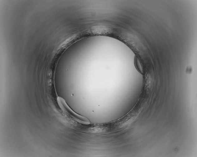 X0000093530356200710261256