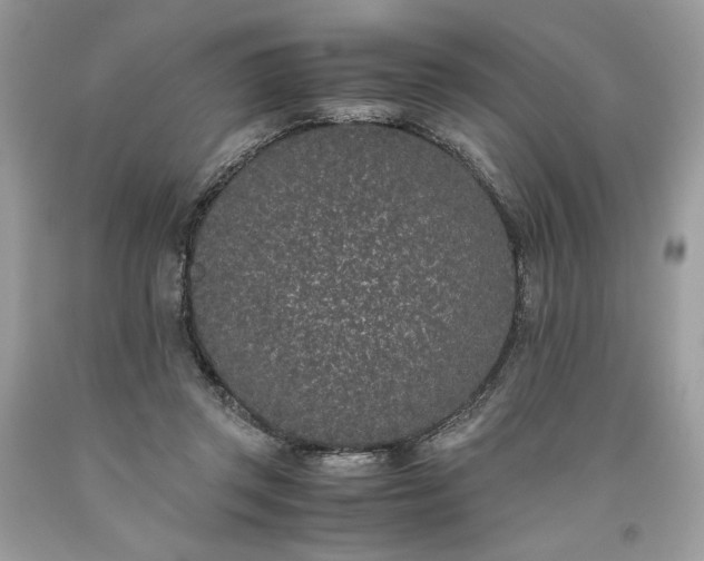 X0000093530357200710261256