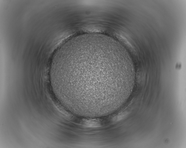 X0000093530359200710261256