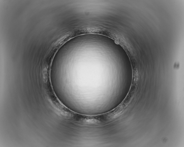 X0000093530360200710261256