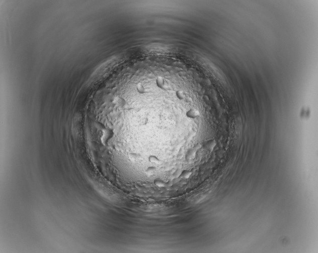 X0000093530361200710261256