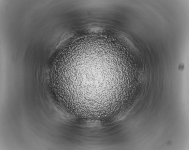 X0000093530363200710261257