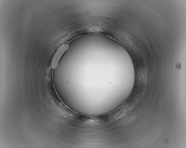 X0000093530364200710261257