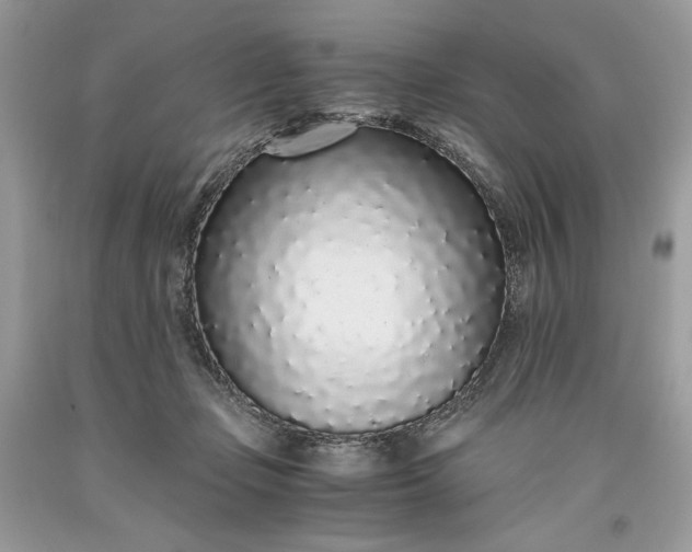 X0000093530365200710261257