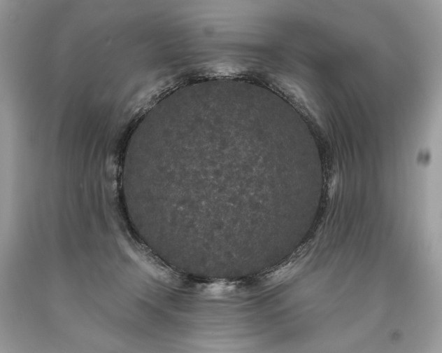 X0000093530366200710261257