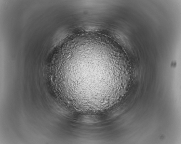 X0000093530367200710261257