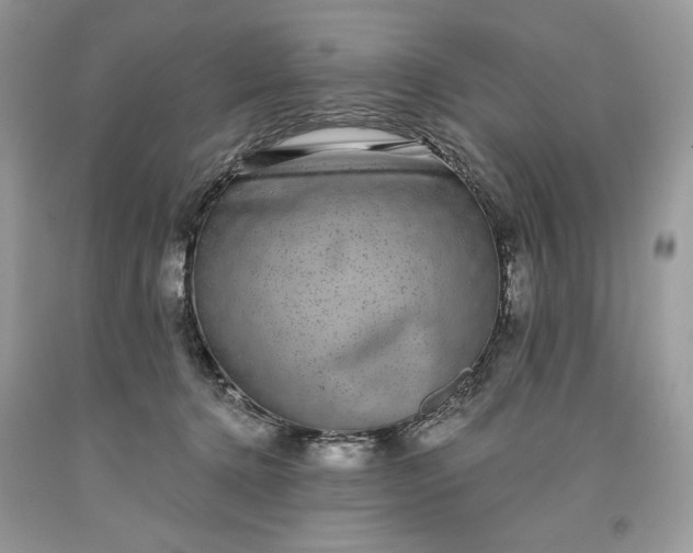 X0000093530368200710261257