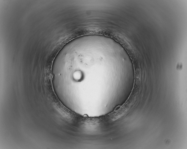 X0000093530369200710261257