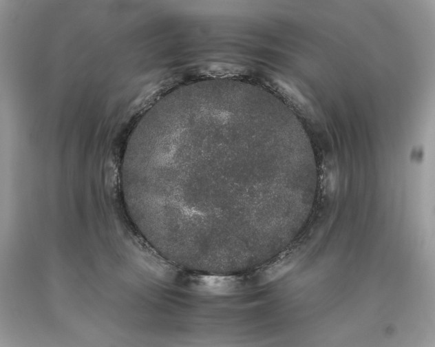 X0000093530371200710261257