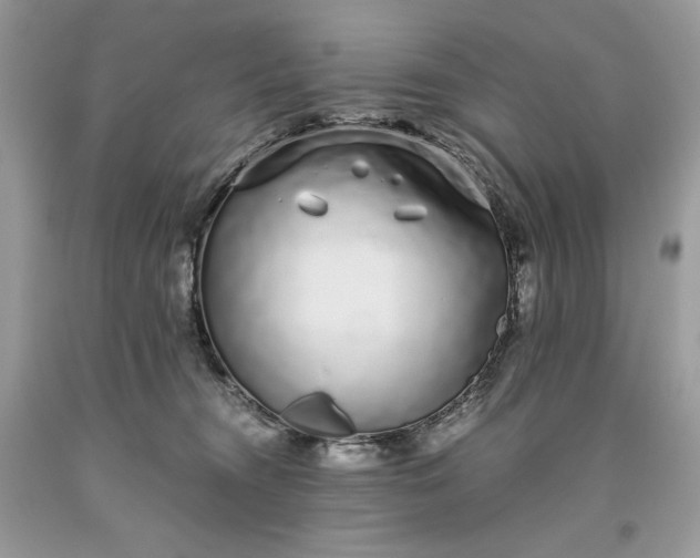 X0000093530372200710261257