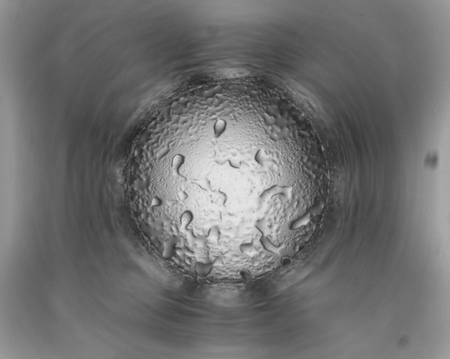 X0000093530373200710261257