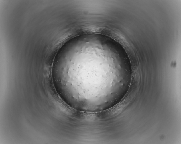 X0000093530374200710261257