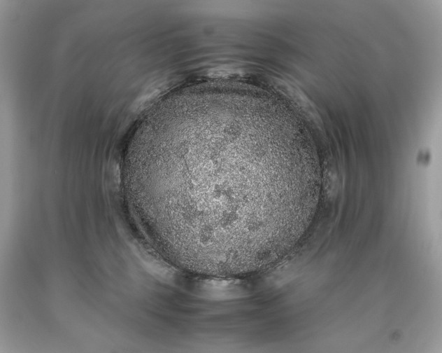 X0000093530375200710261257