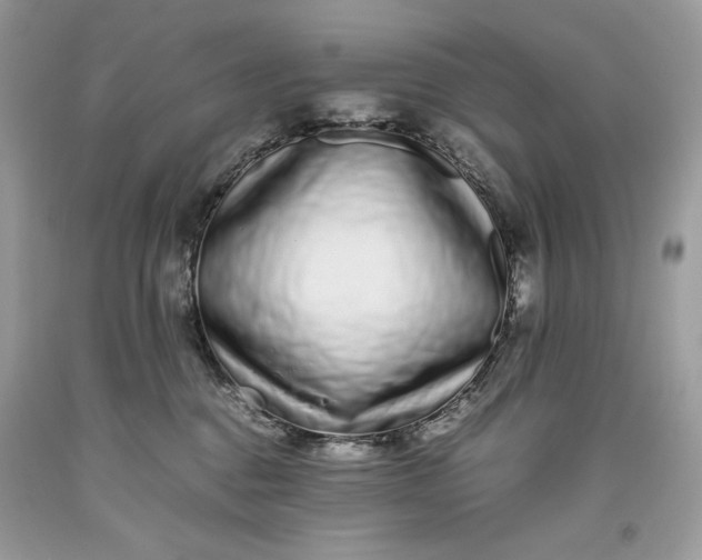 X0000093530376200710261257