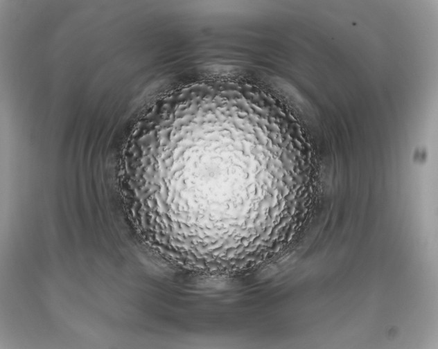 X0000093530377200710261257