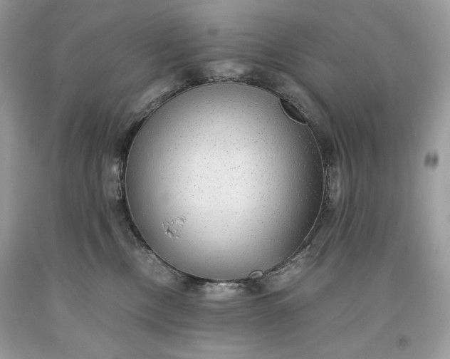 X0000093530378200710261257