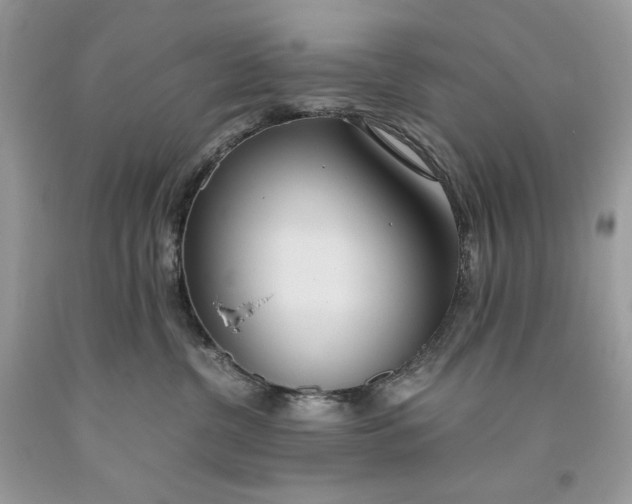 X0000093530380200710261257