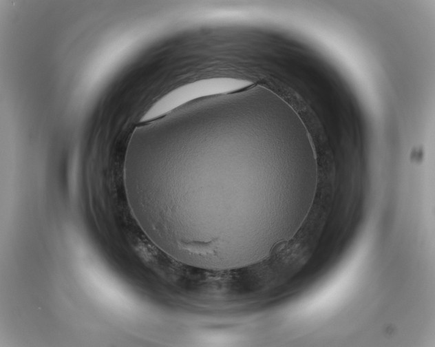 X0000093530382200710261257