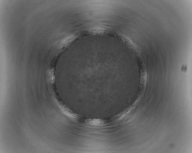 X0000093530383200710261257