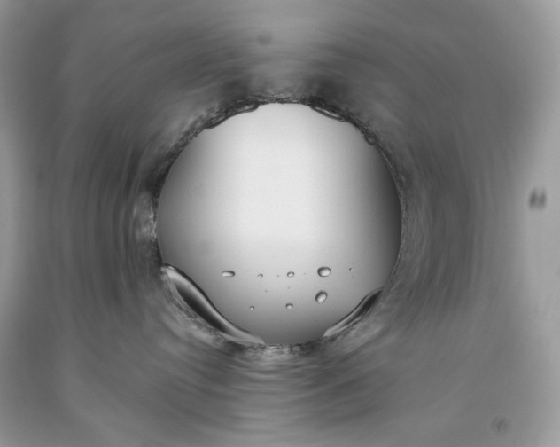 X0000093530384200710261257