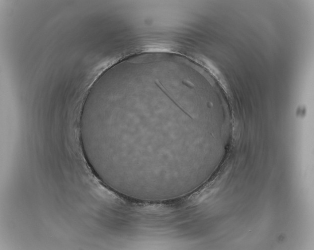 X0000093530385200710261256