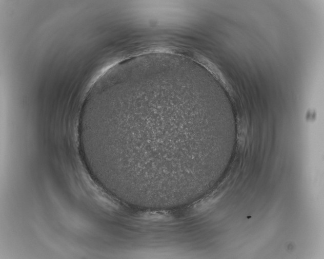 X0000093530386200710261256