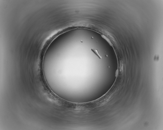 X0000093530388200710261256