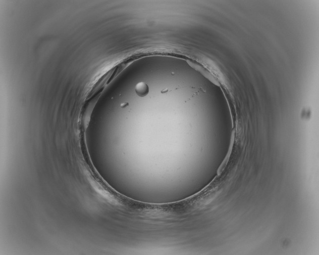 X0000093530389200710261256