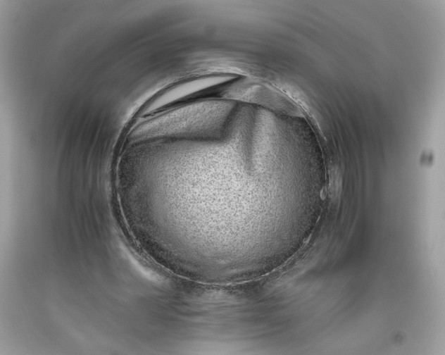 X0000093530390200710261256