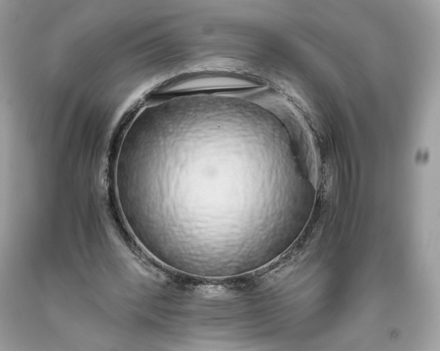 X0000093530392200710261256