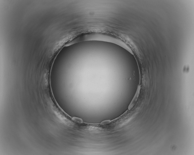 X0000093530393200710261256