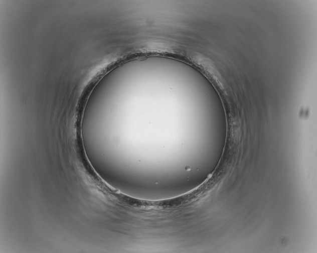 X0000093530395200710261256