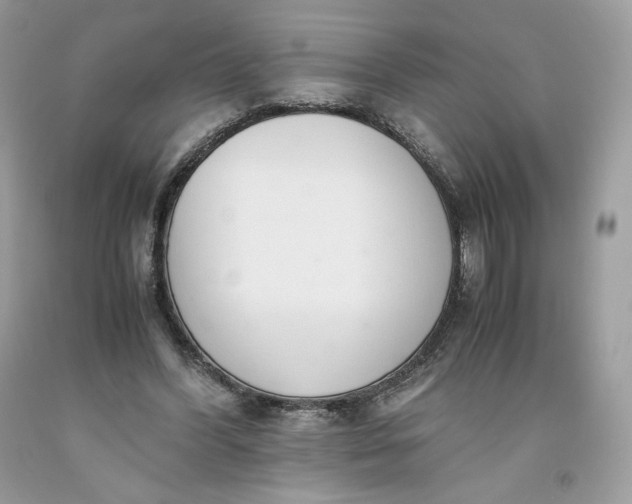 X0000093530396200710261256