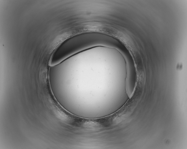 X0000093530397200710261256