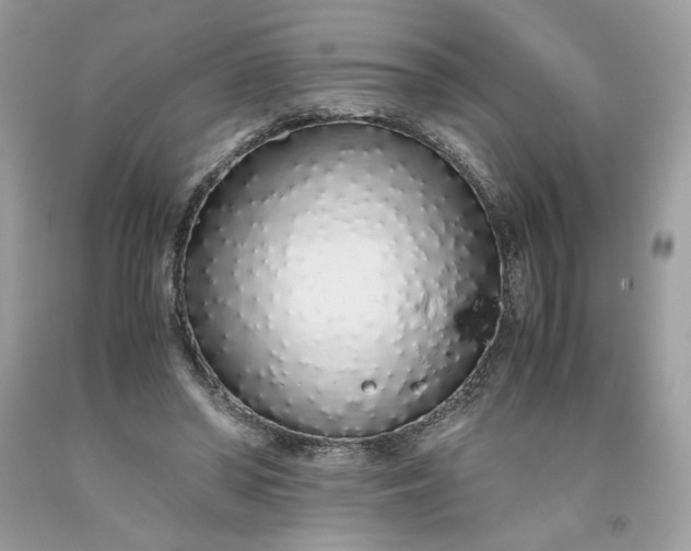 X0000093530398200710261256