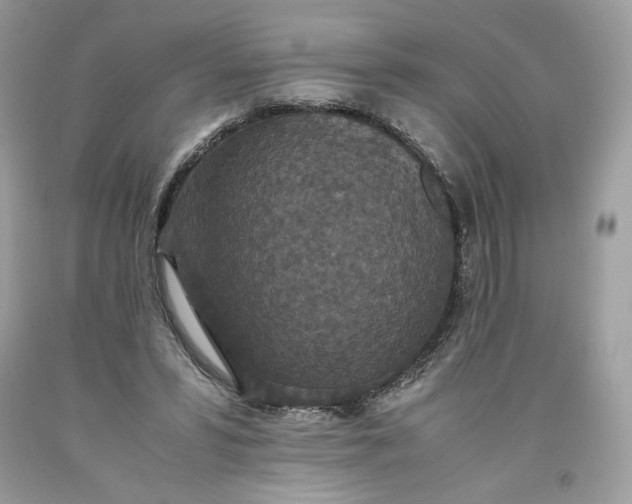 X0000093530399200710261256