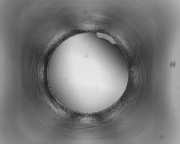 X0000093530400200710261256