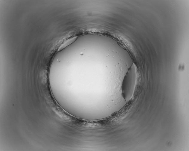 X0000093530401200710261256