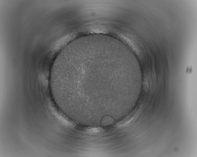 X0000093530402200710261256