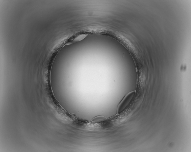 X0000093530403200710261256