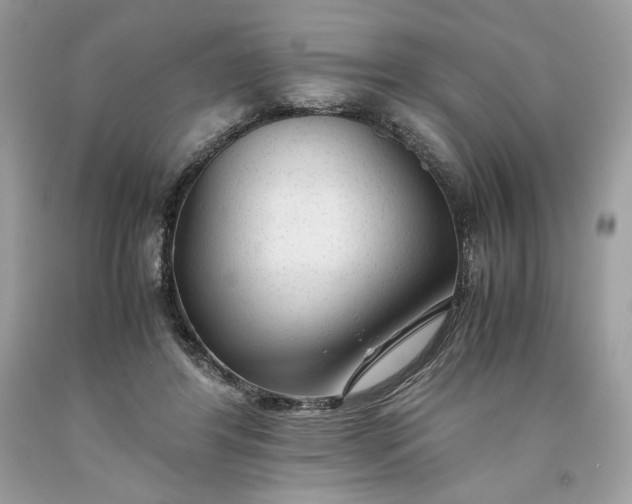 X0000093530404200710261256