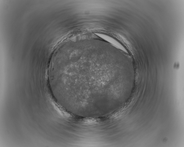 X0000093530405200710261256