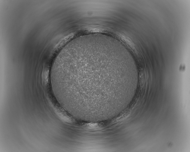 X0000093530406200710261256