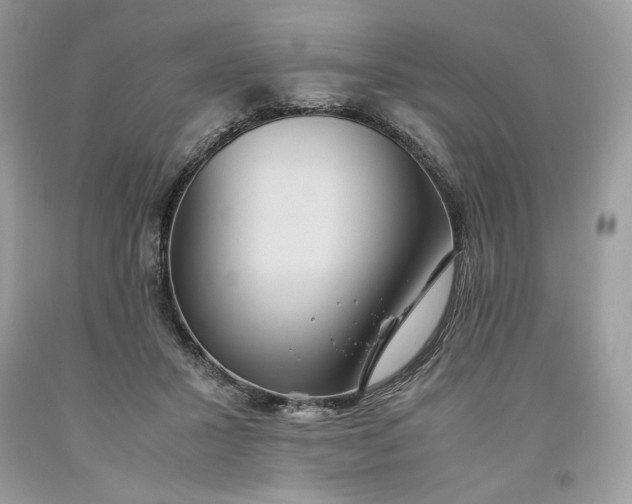 X0000093530407200710261256