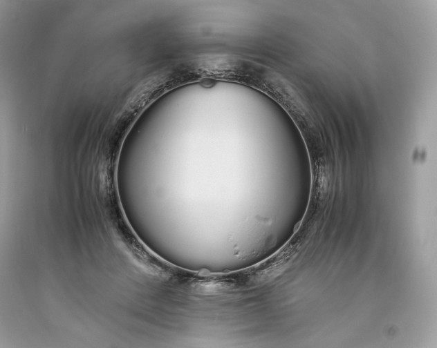 X0000093530408200710261256