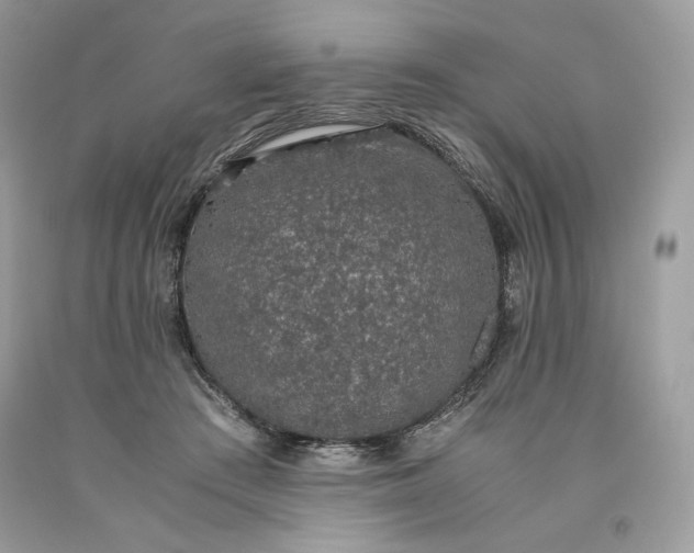 X0000093530409200710261256