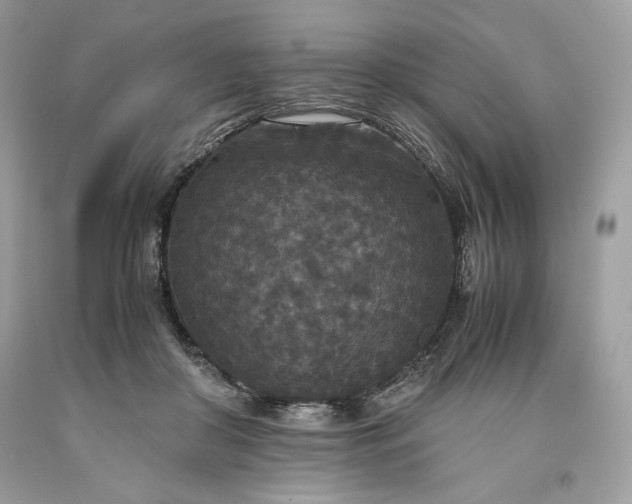 X0000093530410200710261256