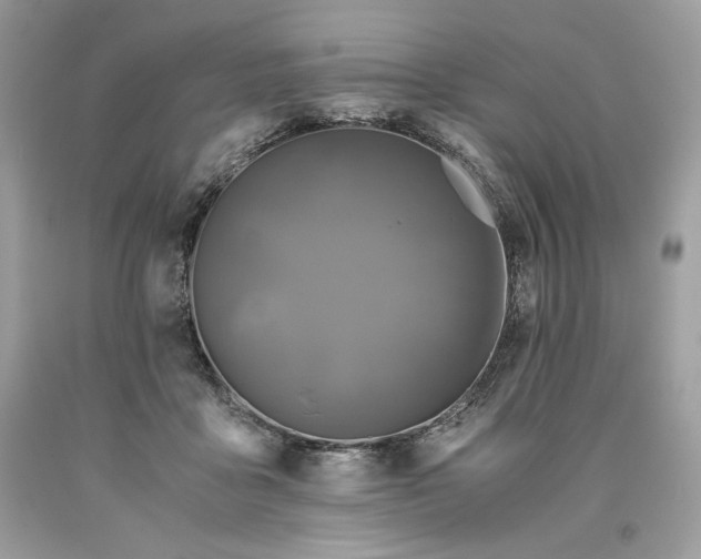 X0000093530411200710261256