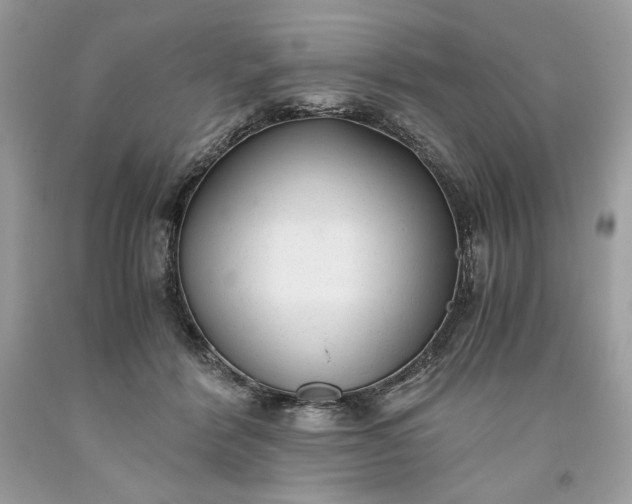 X0000093530412200710261256