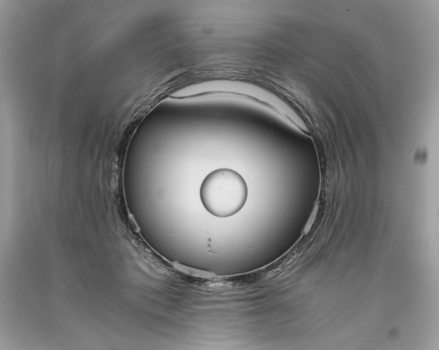 X0000093530413200710261256